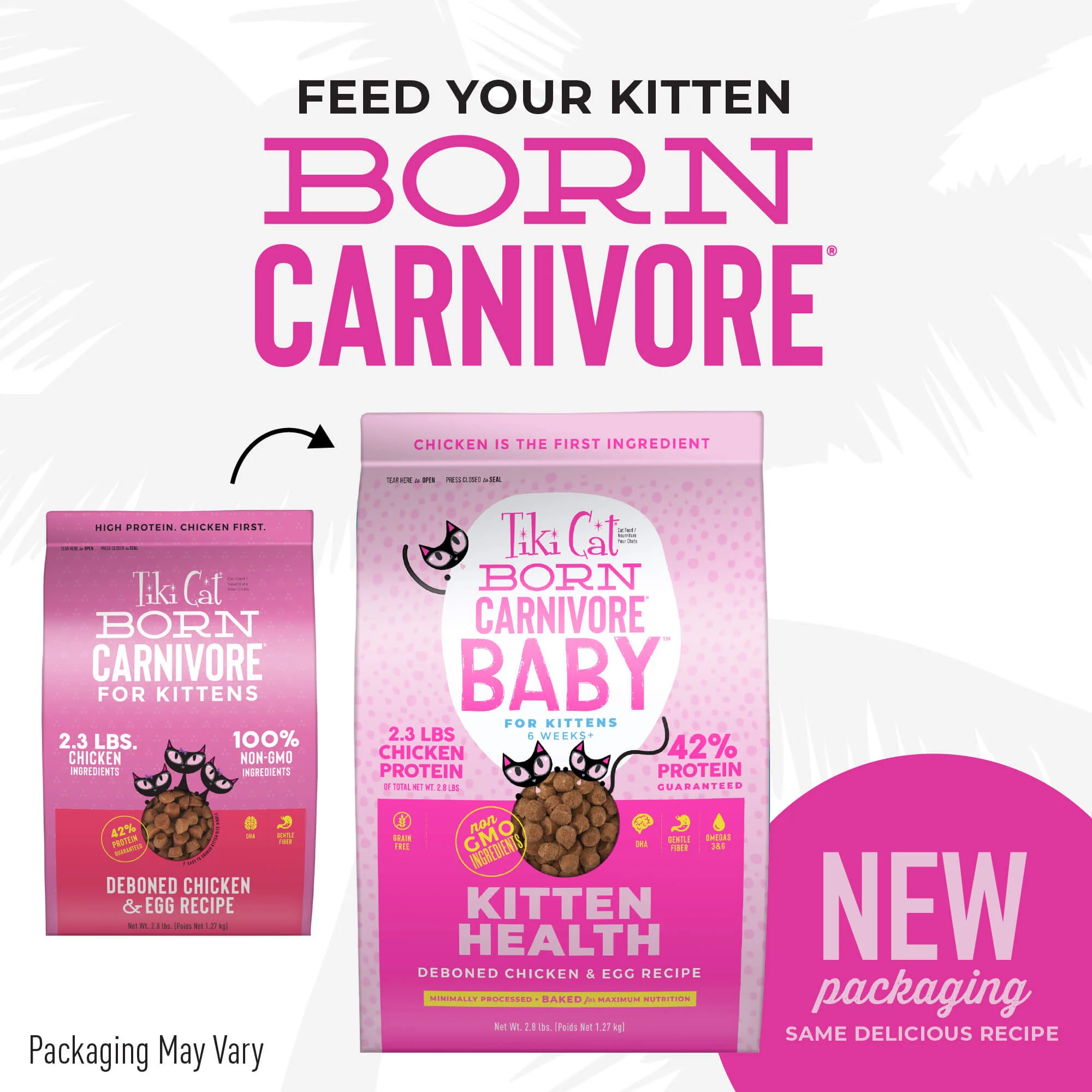 TikiCat Born Carnivore Deboned Chicken & Egg BAKED Dry Kitten Food, 1.27kg - Image 3