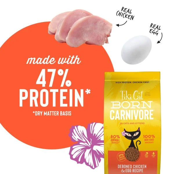 TikiCat Born Carnivore Deboned Chicken & Egg BAKED Dry Cat & Kitten Food - Image 3
