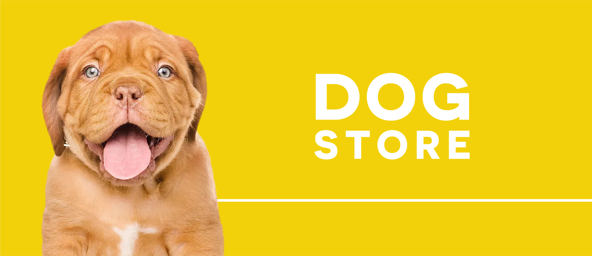 Dog Store Smart Pet Kuwait