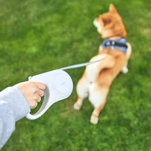 Alternative view of PetKit Go Free Dog Leash, 3m