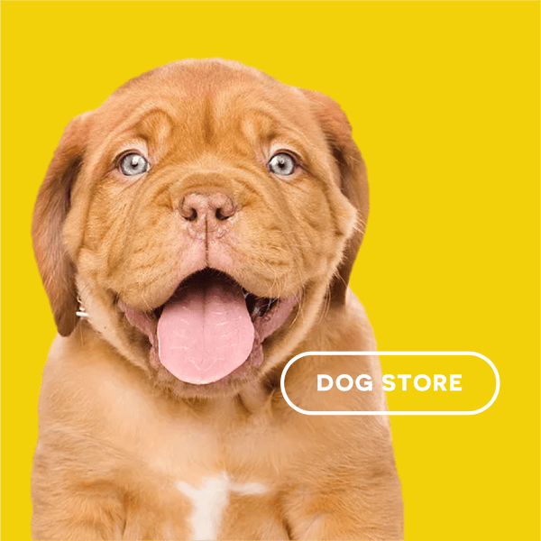 Pet Store in Kuwait Smart Pet Kuwait Pet Store and Supplies