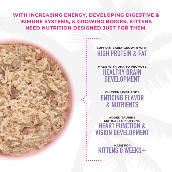 Tiki Cat Baby Chicken & Egg Recipe For Kittens Above 8 Weeks, 68g - Image 2