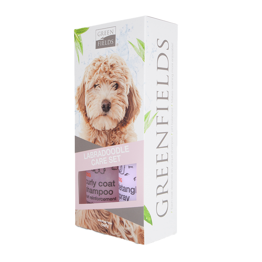 Shampoo labradoodle on sale