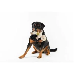 Alternative view of M-Pets Loki Eco Dog Toy