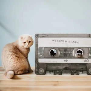 District 70 MIXTAPE, Retro Cardboard Cat Scratcher