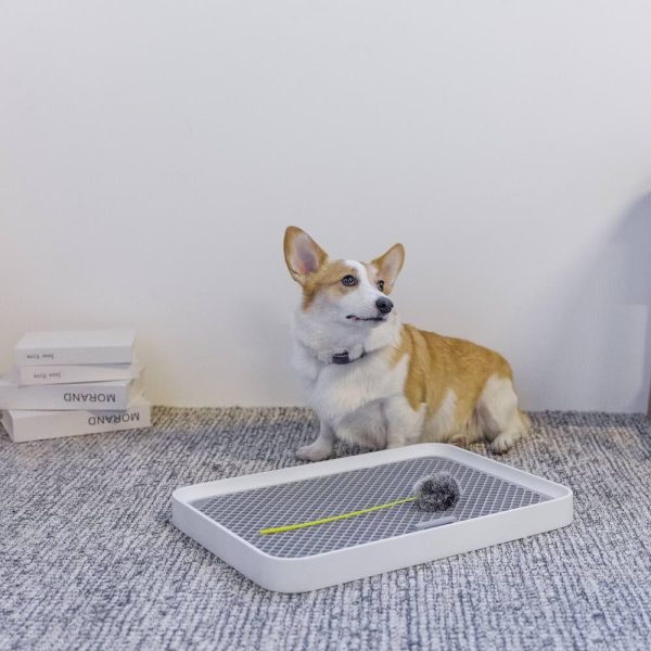 PetKit Pura Dog Training Pee Tray - Image 2