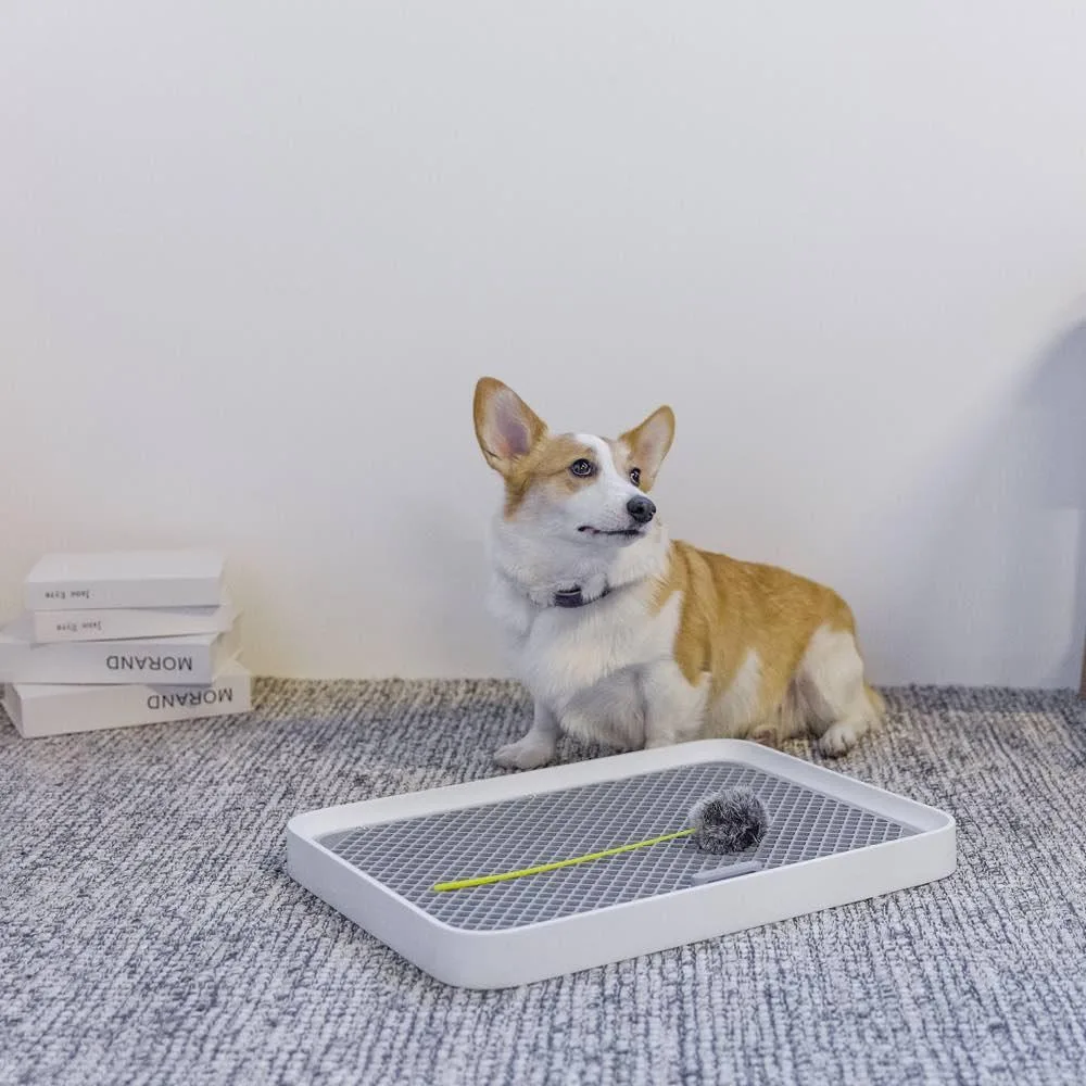 PetKit Pura Dog Training Pee Tray - Image 2