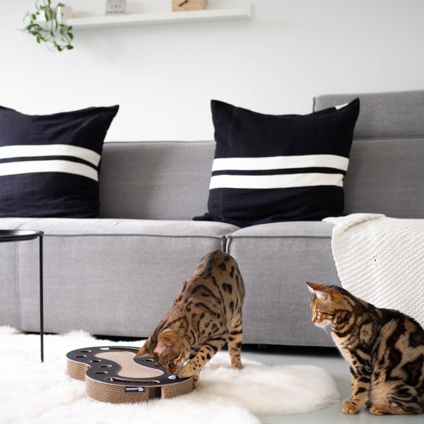District 70 SNAKE Multifunctional Cat Toy, Black - Image 5