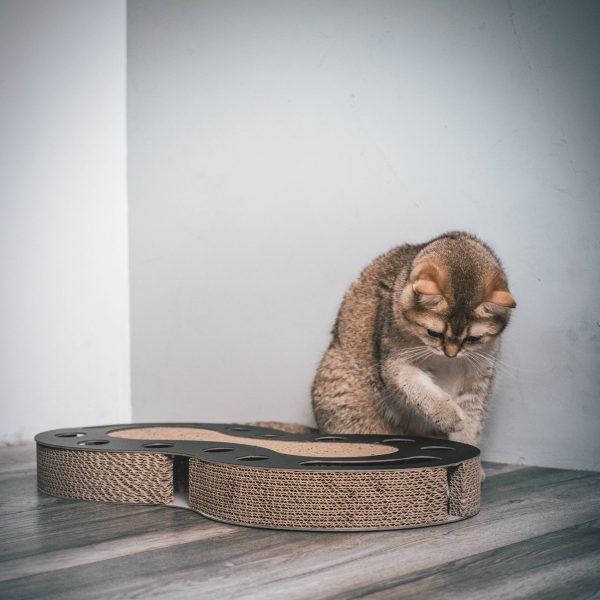 District 70 SNAKE Multifunctional Cat Toy, Black - Image 4