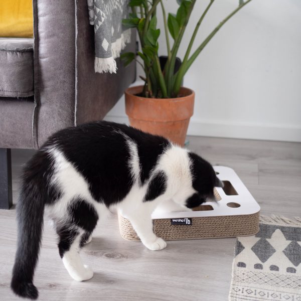 District 70 SPY Multifunctional Cat Toy, White - Image 2