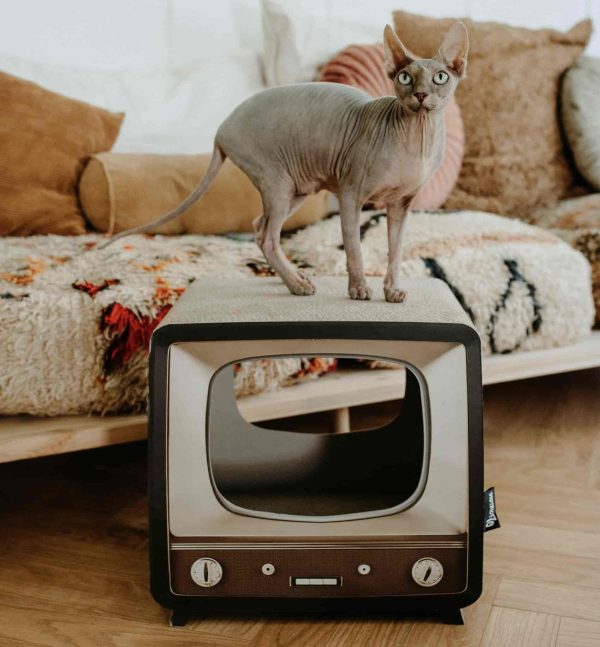 District 70 Telly, Retro Design Cat Scratcher - Image 3