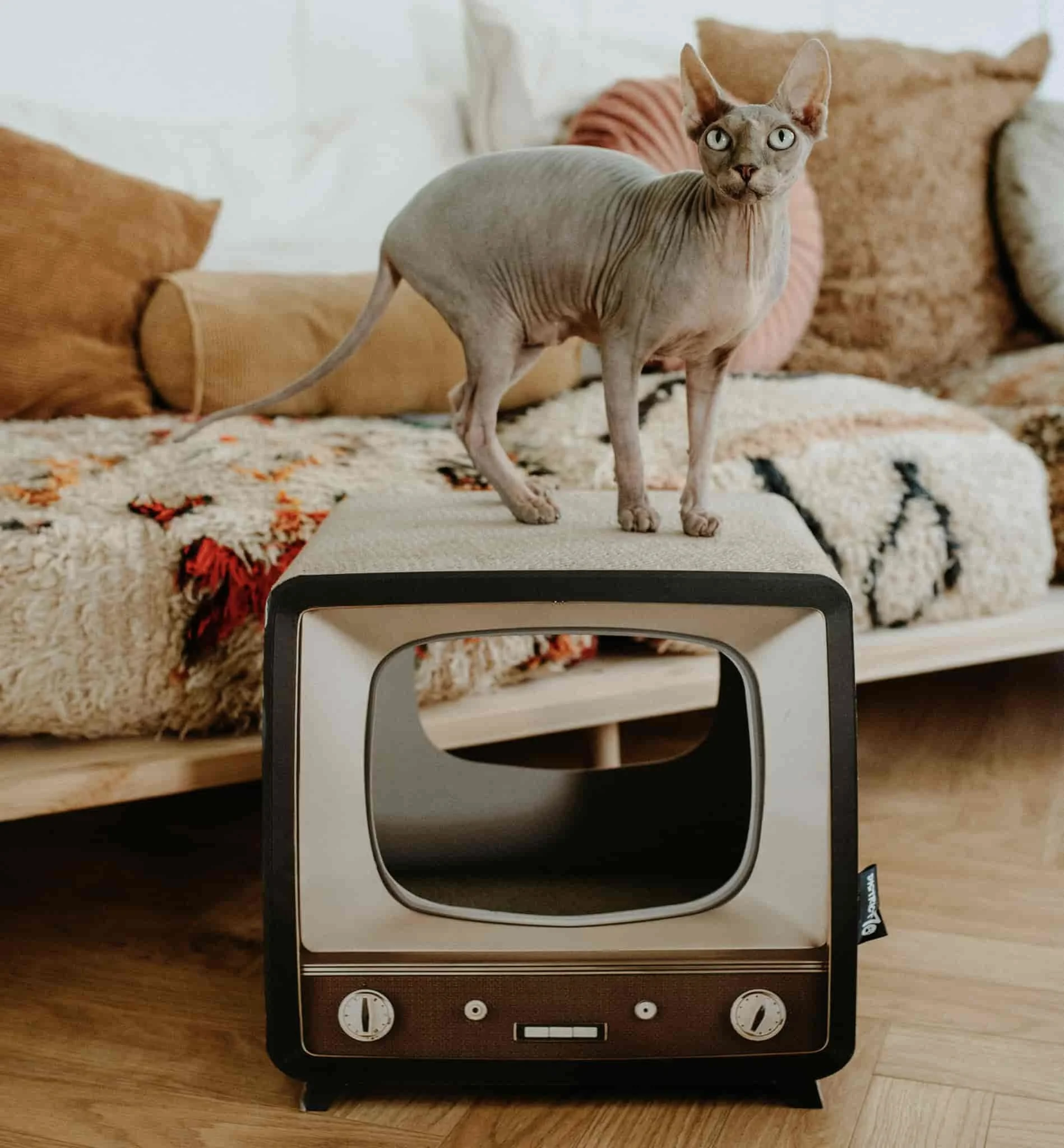 District 70 Telly, Retro Design Cat Scratcher - Image 3