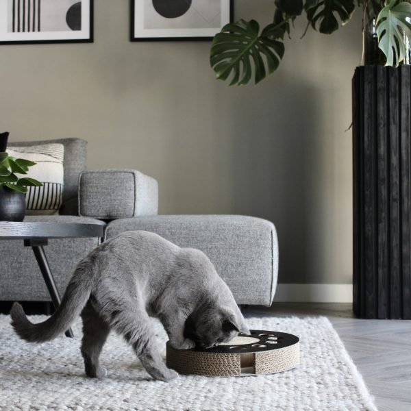 District 70 WHIRL Multifunctional Cat Toy, Black - Image 4