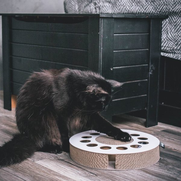 District 70 WHIRL Multifunctional Cat Toy, White - Image 3