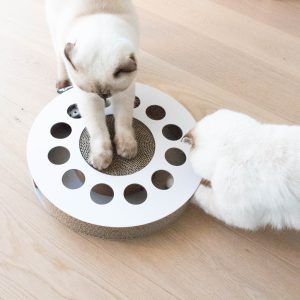 District 70 WHIRL Multifunctional Cat Toy, White
