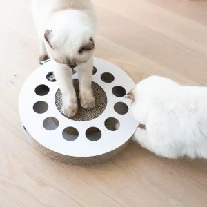 District 70 WHIRL Multifunctional Cat Toy, White