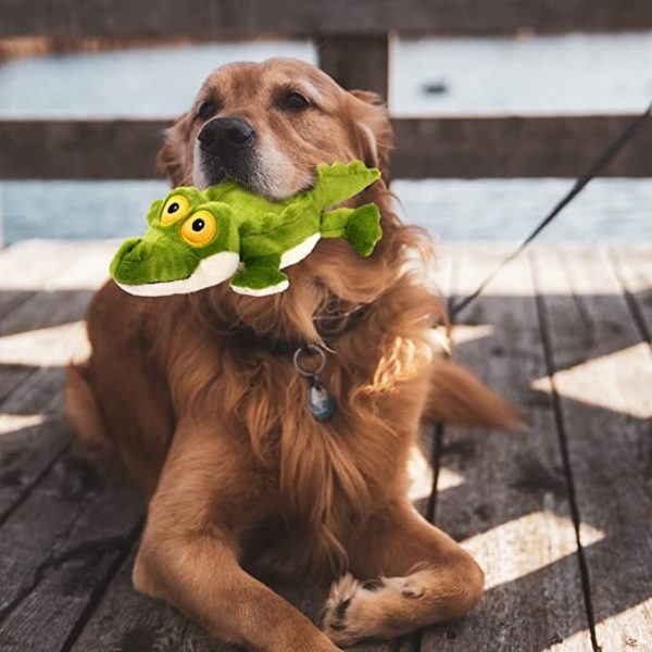 AFP Ultrasonic Rave Alligator Plush Dog Toy - Image 5