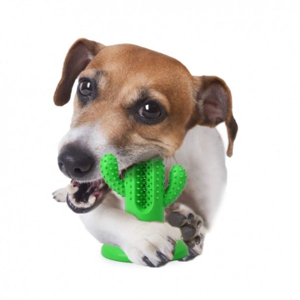 AFP Dental Chews Cactus Rubber Green Dog Toy, Green - Image 4