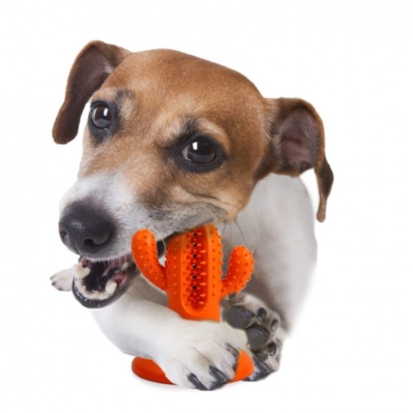 AFP Dental Chews Cactus Rubber Dog Toy, Orange - Image 4