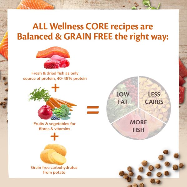 Wellness CORE Sterilised Ocean Salmon Recipe Dry Cat Food, 1.75 KG - Image 3