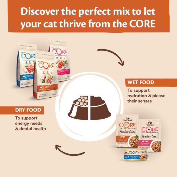 Wellness CORE Sterilised Ocean Salmon Recipe Dry Cat Food, 1.75 KG - Image 5