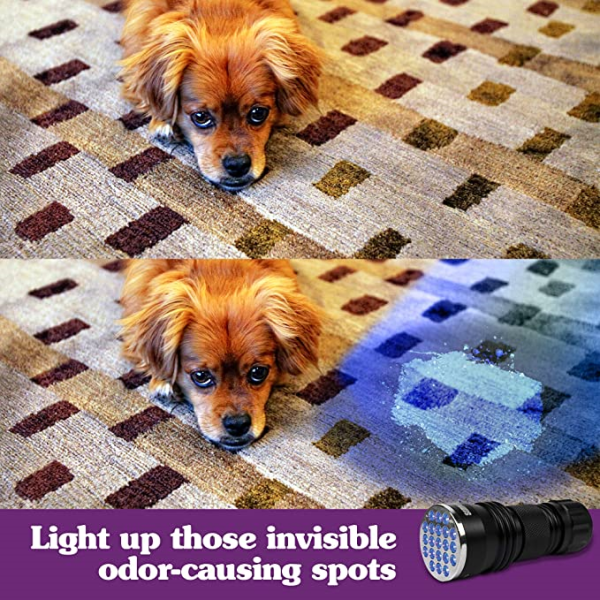 Simple Solution Spot Spotter UV Pet Urine Detector - Image 3