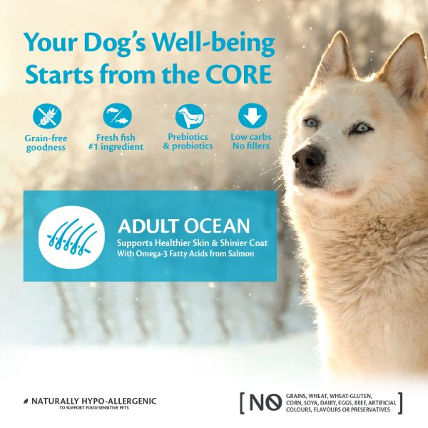 Wellness CORE Ocean Medium/Large Breed Salmon with Tuna Recipe Dry Dog Food - Image 2