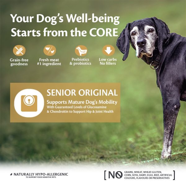 Wellness CORE Senior Original All Breed Turkey With Chicken Recipe Dry Dog Food, 10 kg - Image 2