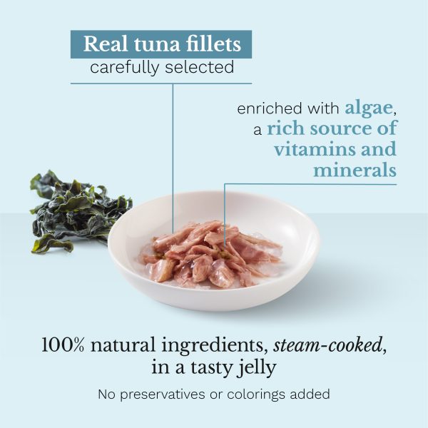 Schesir Tuna with Algae Wet Cat Food, 85g - Image 2