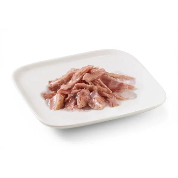 Schesir Tuna Wet Dog Food, 150g - Image 2