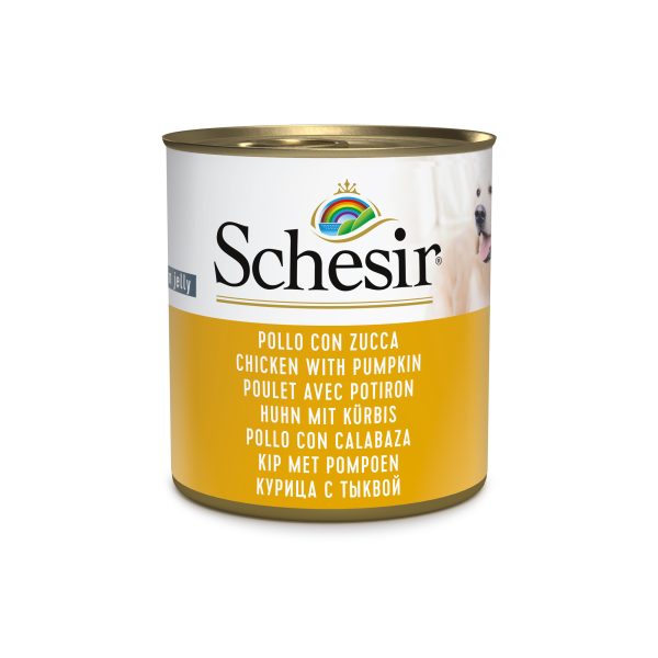 Schesir Chicken with Pumpkin Wet Dog Food, 285g