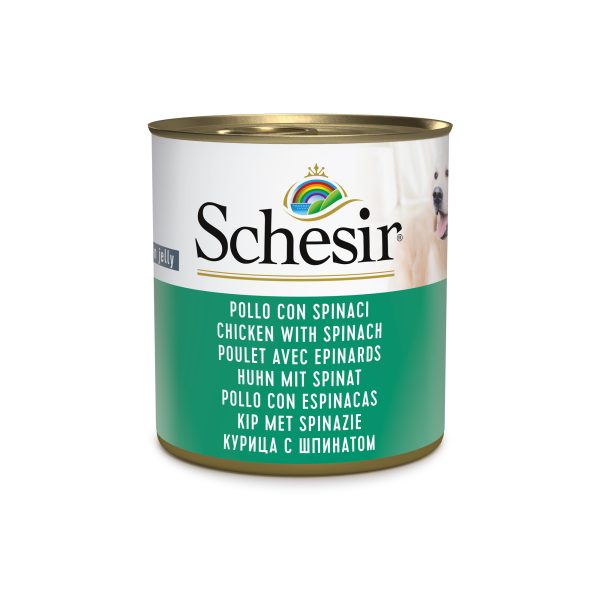 Schesir Chicken with Spinach Wet Dog Food, 285g