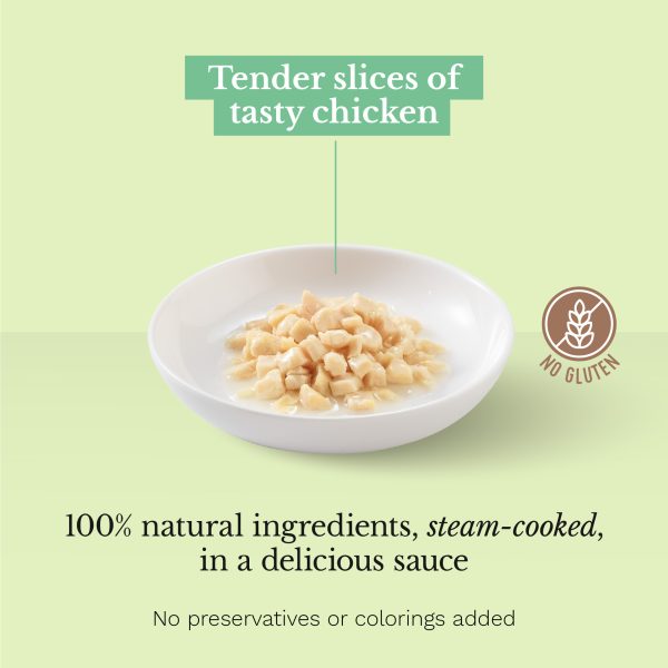 Schesir Chicken Thin Slices in Gravy Pouch Wet Cat Food, 85g - Image 2