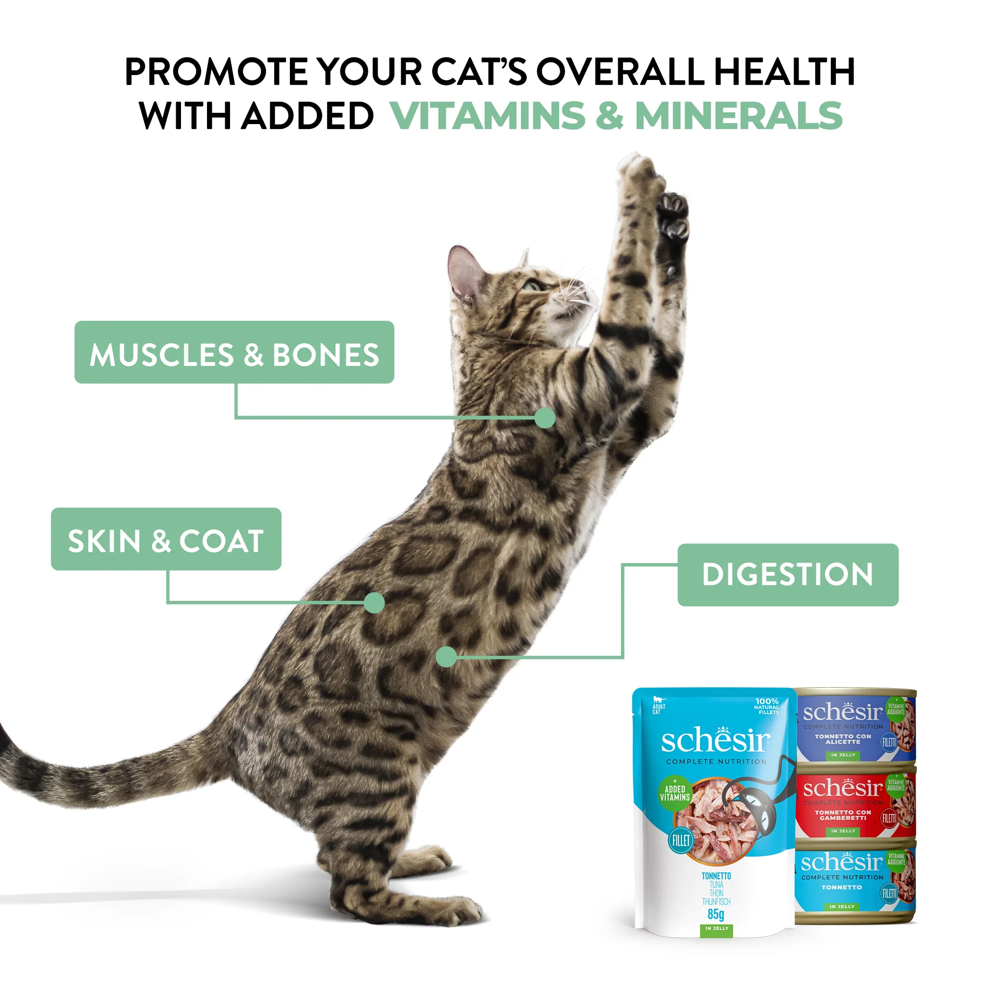 Schesir Complete Nutrition Tuna with Chicken in Jelly Wet Cat Food, 85g - Image 9
