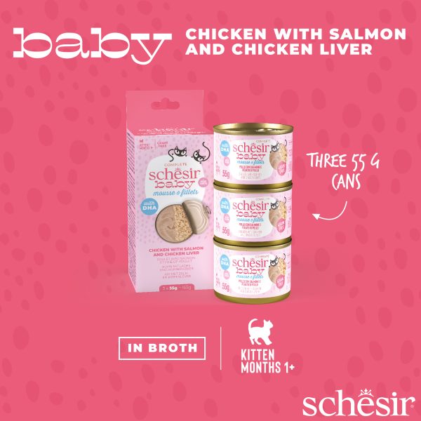 Schesir Baby Mousse & Fillets For Baby Cats Above 1+ Month, 3 Cans - Image 5