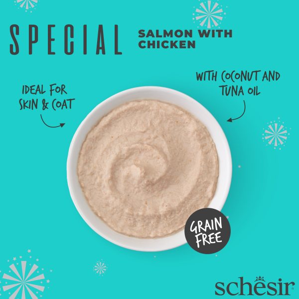 Schesir Special! Skin & Coat Wet Cat Food, 70g - Image 2