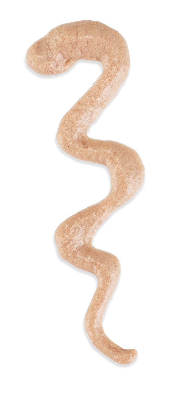 Schesir Stix! Duck Mousse Cat Treat, 6 Pieces - Image 7