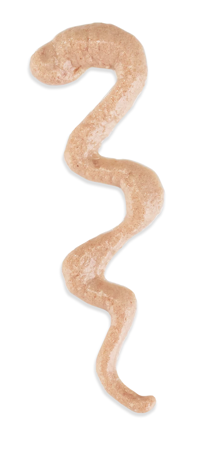 Schesir Stix! Salmon Mousse Cat Treat, 6 Pieces - Image 7
