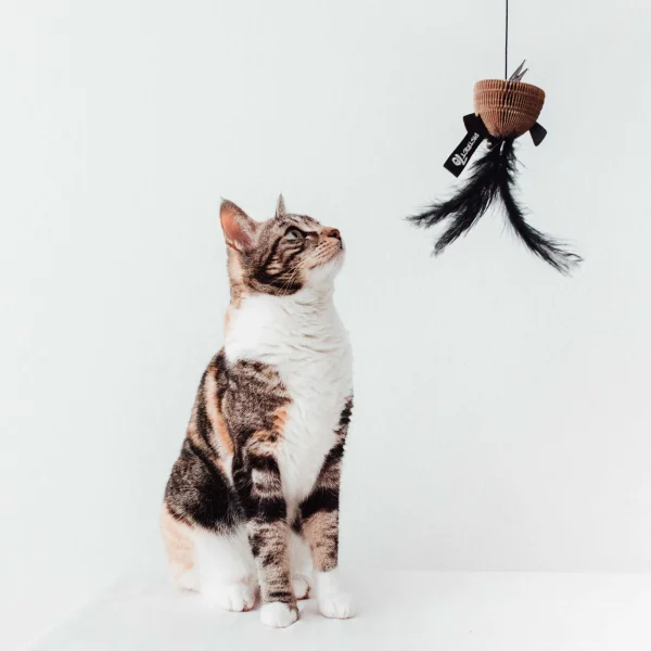 District 70 BAIT Natural Wood Wand Cat Toy, Black - Image 3