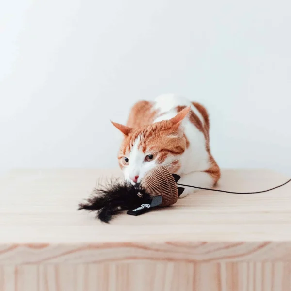 District 70 BAIT Natural Wood Wand Cat Toy, Black - Image 4