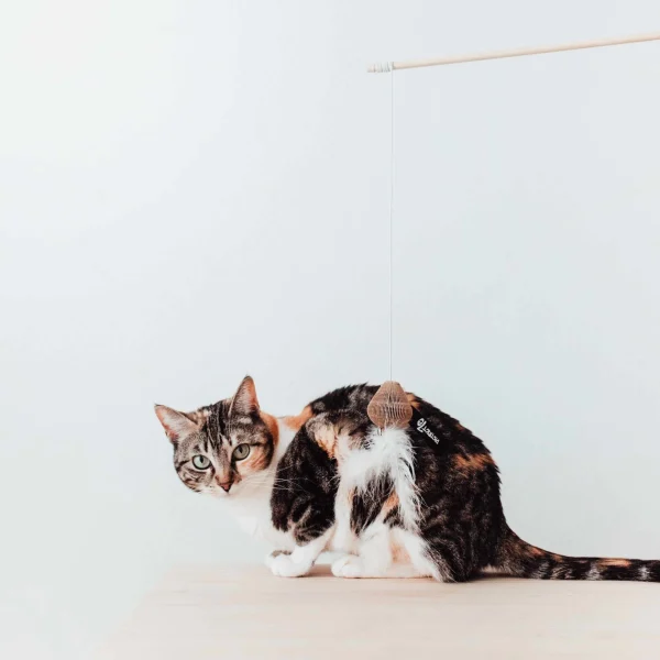 District 70 SMASH Natural Wood Wand Cat Toy, Black - Image 3