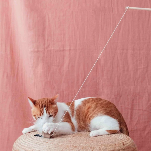 District 70 SMASH Natural Wood Wand Cat Toy, Black - Image 2