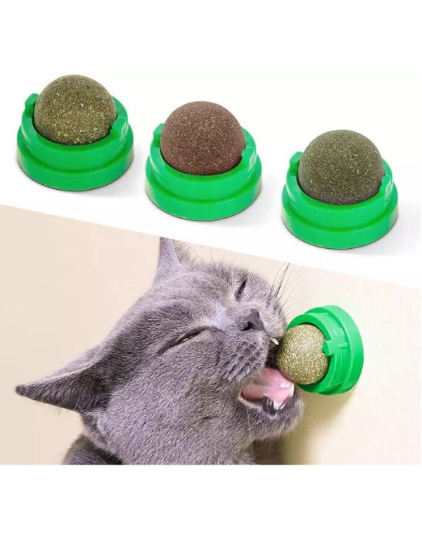 Funny Paws Catnip Ball Wall Toy - Image 2