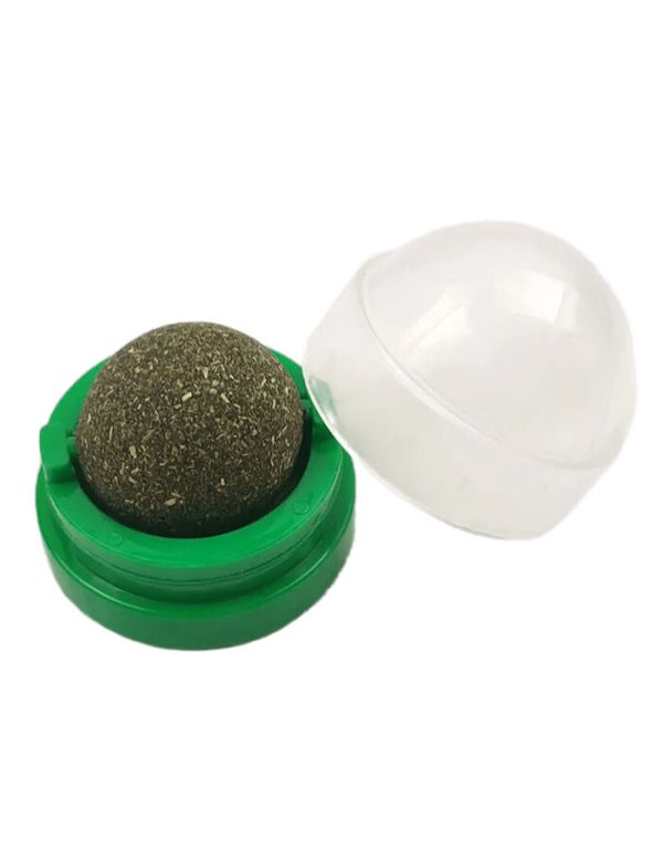 Funny Paws Catnip Ball Wall Toy