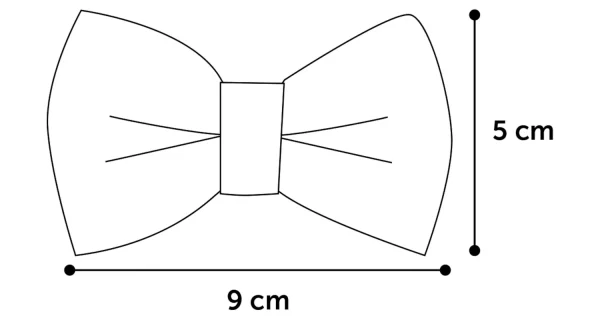Flamingo Iona Anthracite Pink Dog Bow Tie - Image 3