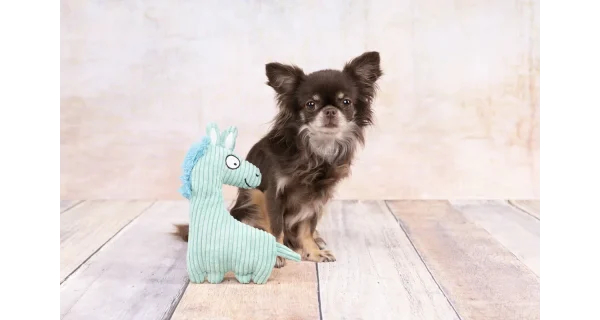Flamingo Pebbles Horse Dog Toy - Image 2