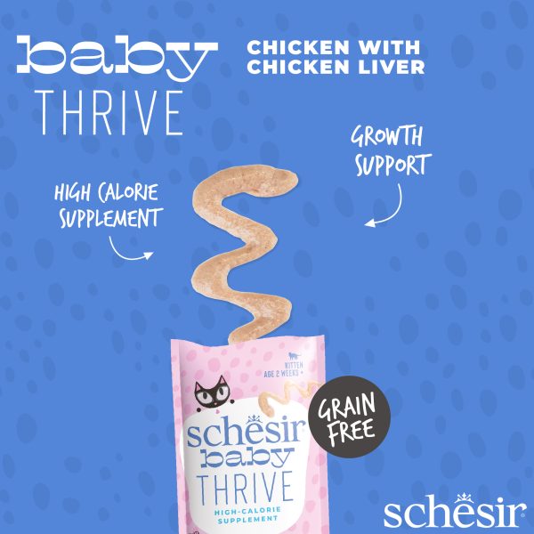 Schesir Baby Thrive Chicken & Chicken Liver Baby Cat Food, Pack of 20 Sachet - Image 4