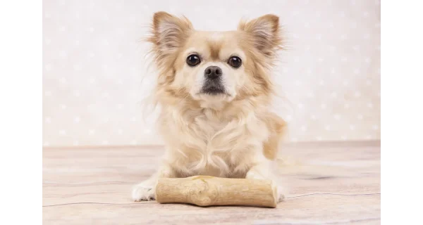 Flamingo Natural Chewy Wood Dog Toy - Image 2