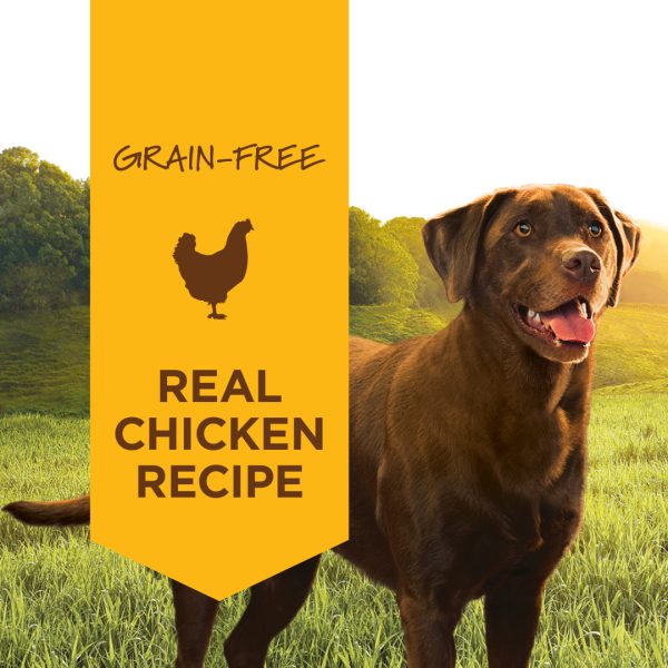 Instinct Original Real Chicken Wet Dog Food, 374g - Image 5