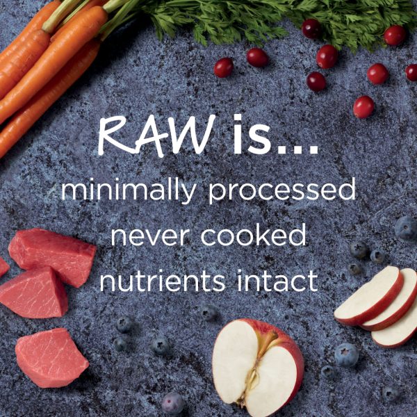 Instinct Raw Boost Real Beef Small Breed Dry Dog Food, 1.8kg - Image 4
